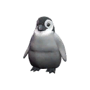 Self-Made Pebbles the Penguin