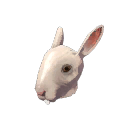 Haunted Horrific Head of Hare