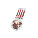 Genuine Pugiklander 2nd Place