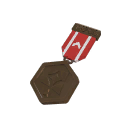 Self-Made TF2Connexion Division 1 Bronze Medal
