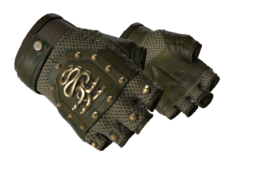 Hydra Gloves Mangrove preview