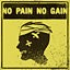 Icon for No Gain No Pain