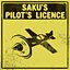 Icon for Saku's Pilot's License