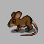 Icon for Pack Rat