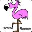 Enraged FIamingo